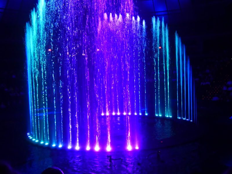 axel-antas-bergkvist-YZvBYSsgelE-unsplash